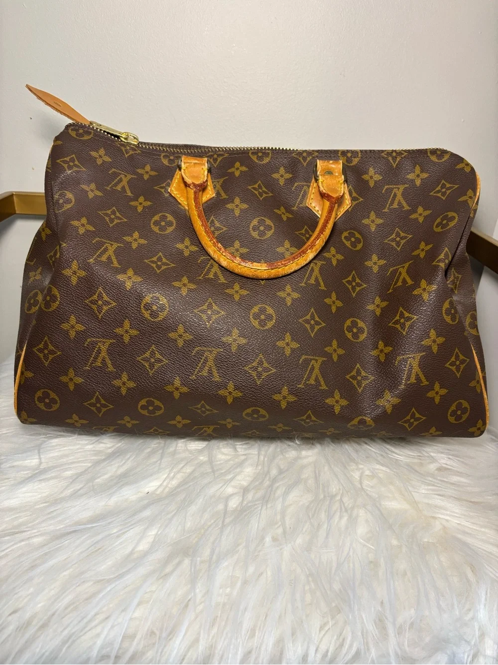 Louis Vuitton Monogram Canvas Speedy Handbag - Brown/Tan